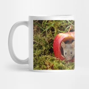 Mouse in a apple Mug